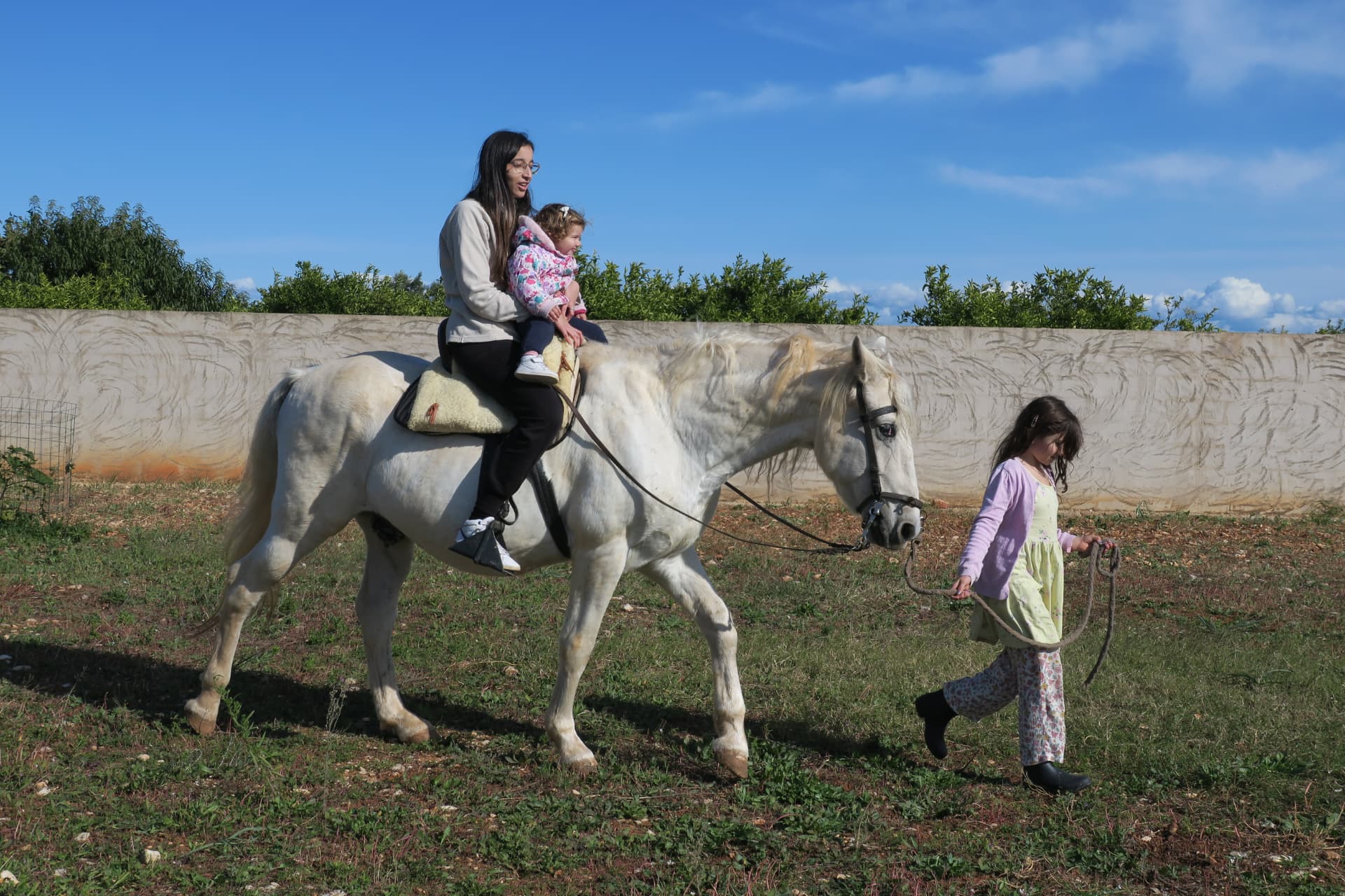 Paseo a caballo en familia