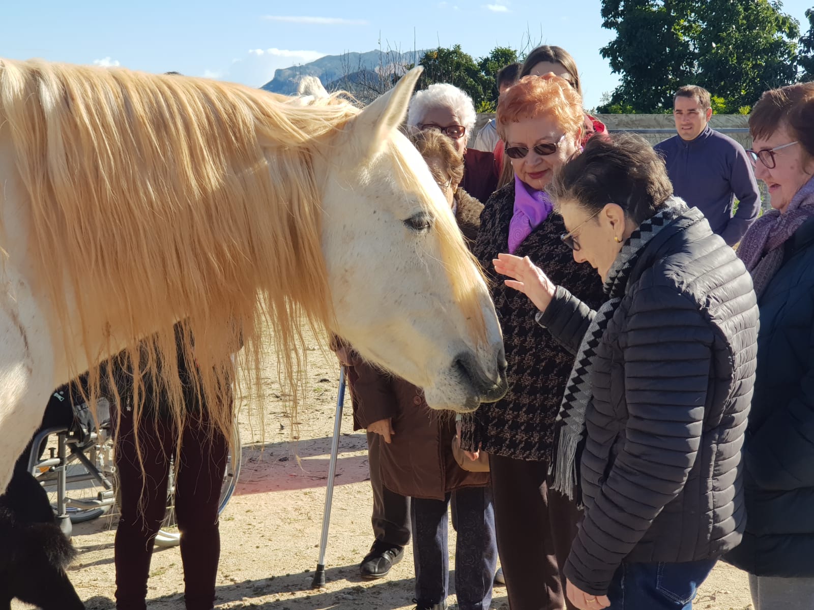 Encuentro con el caballo blanco