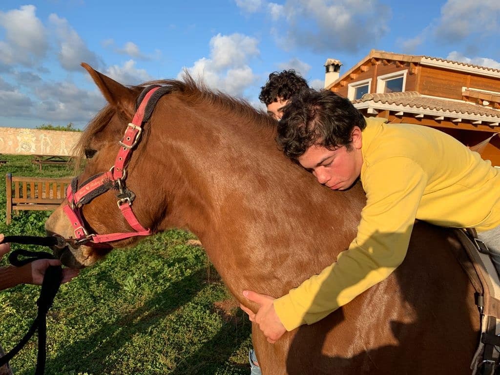 Abrazo al caballo marrón