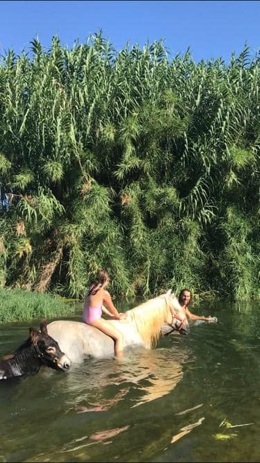 Paseo a caballo entre las cañas