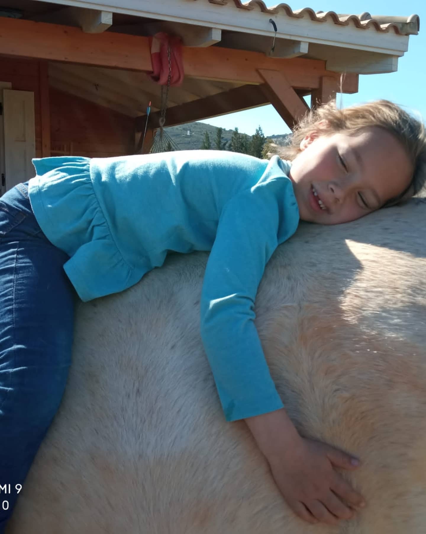 Niña descansando sobre el lomo de un caballo